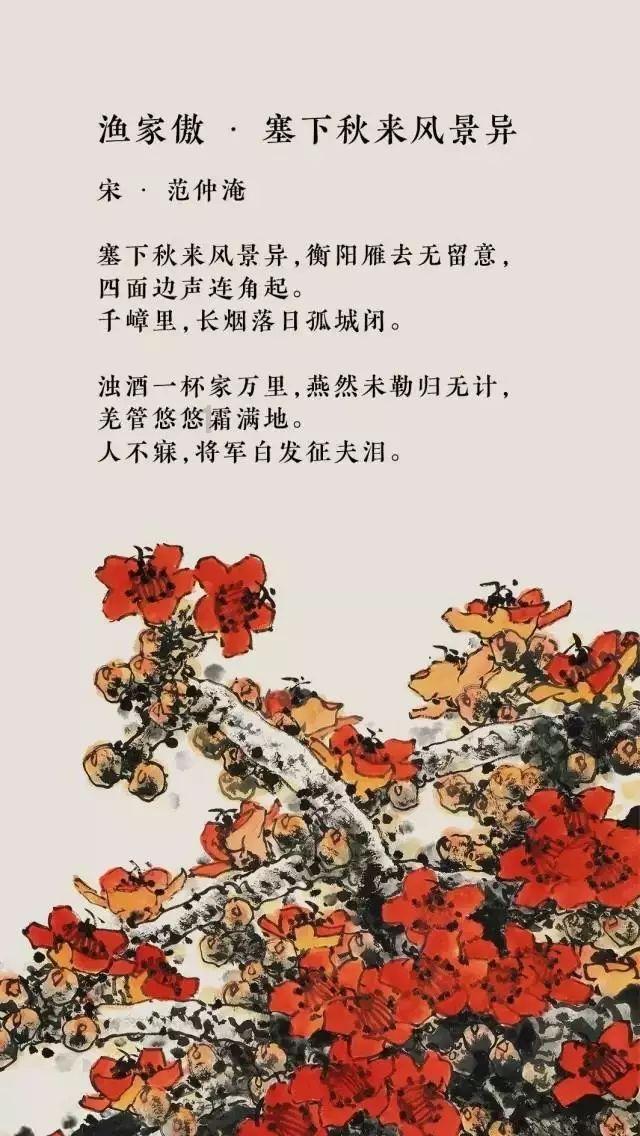 探探猫宝石岛3